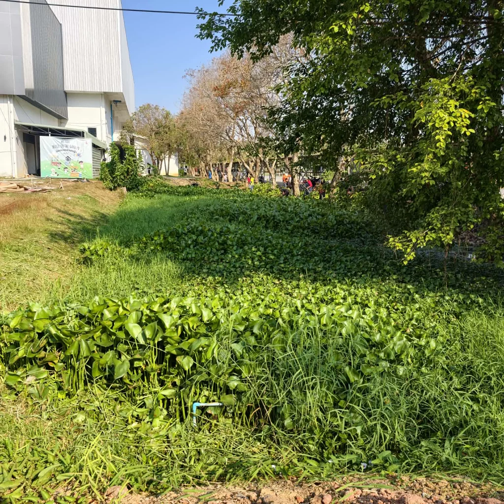 627743191 1470011491802817 5376010110654227193 n