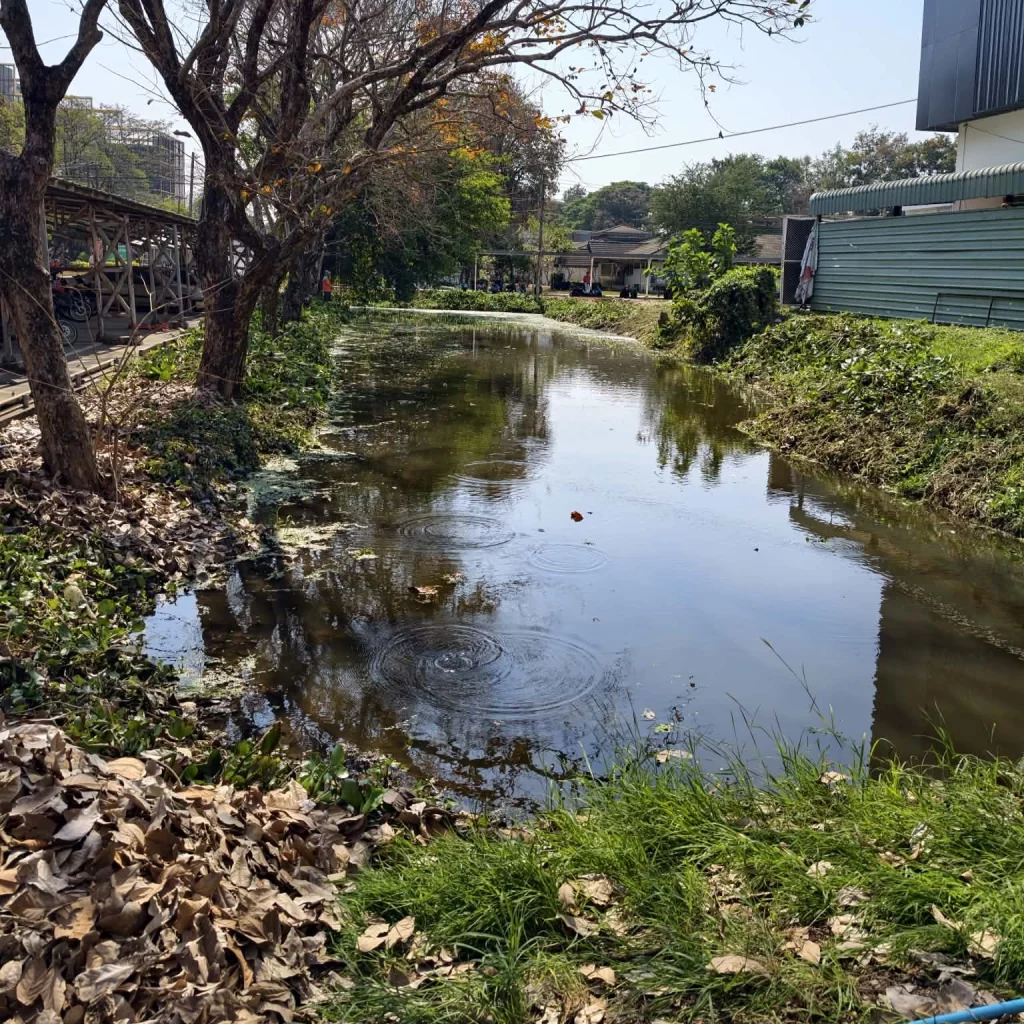 628486005 1470009011803065 8388985098569240354 n