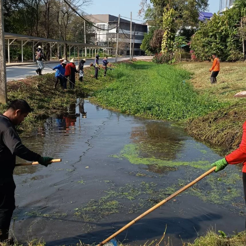 629241458 1470011568469476 5961070342801705918 n