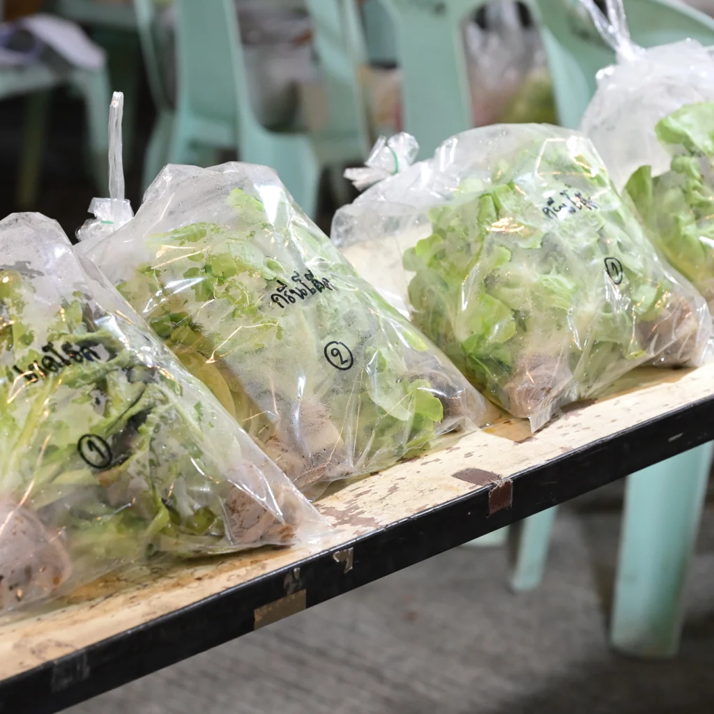 640159321 1485013783635921 9092143236811757199 n