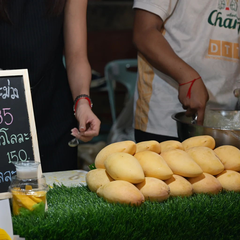 641345557 1485015736969059 5151971613986131347 n