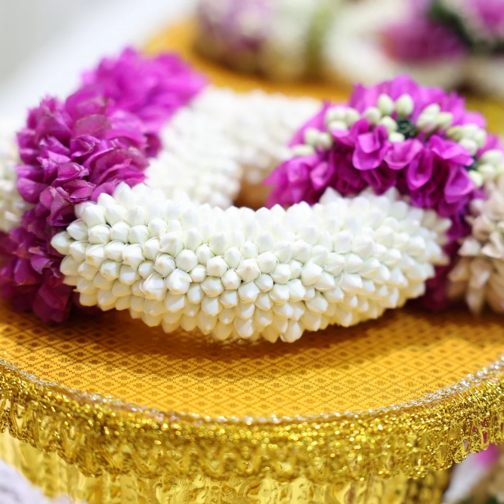 641368101 1485914366879196 6029857544016224433 n